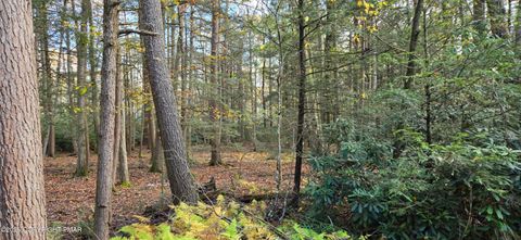 Vacant Land For Sale - C830 & C83 Lakeside Lane<br/> Albrightsville, PA 18210