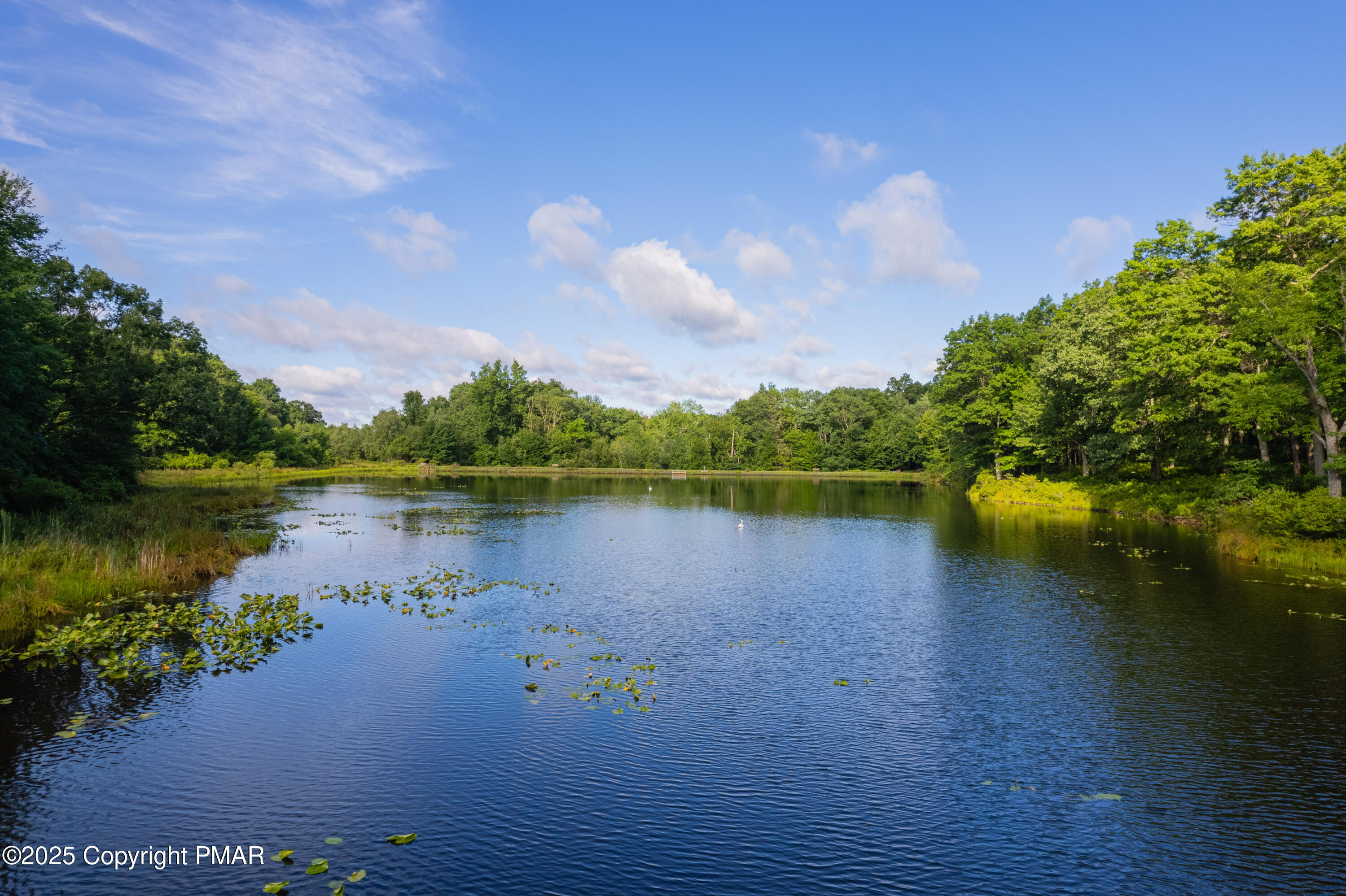 313 Forest Drive, Canadensis, Pennsylvania image 44