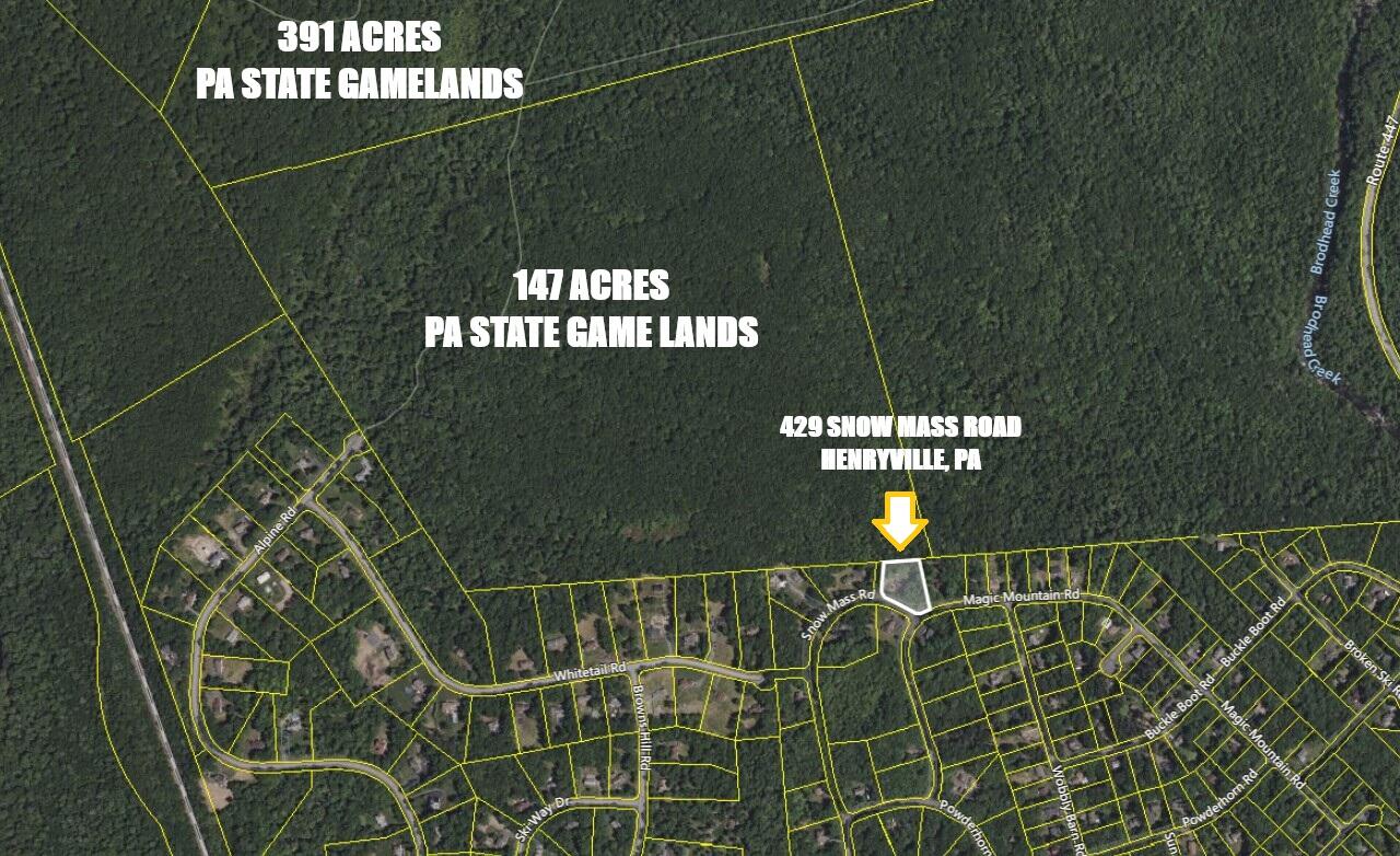 429 Snow Mass Road, Henryville, Pennsylvania image 13