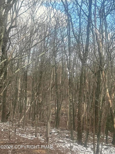 Vacant Land For Sale - 719 721 Wenatche Trail<br/> Carbon County, Albrightsville, PA 18210