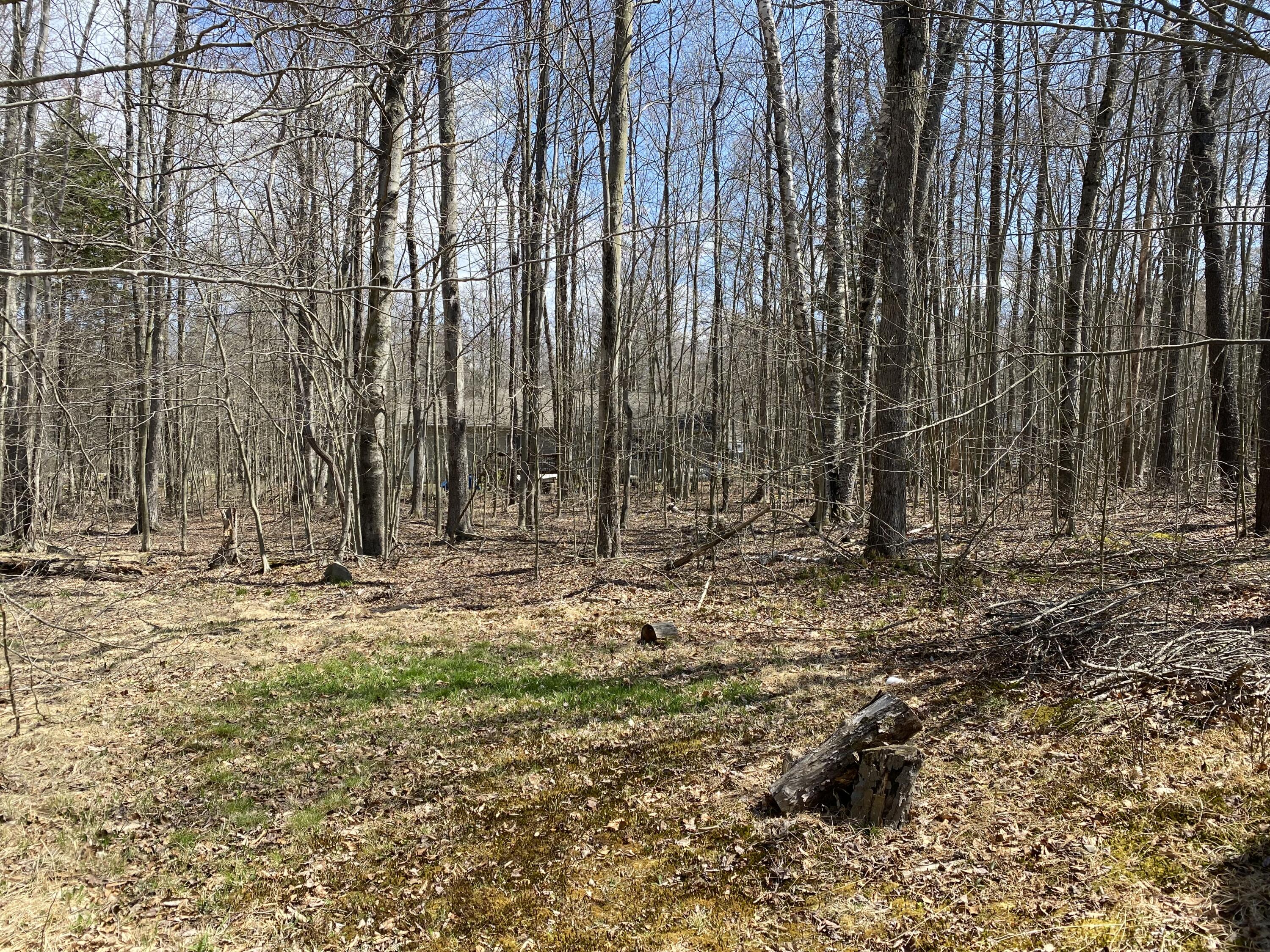 7117 Winnebago Drive Dr, Pocono Lake, Pennsylvania image 6