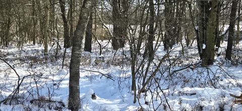 Vacant Land For Sale - DP1445 Blackfoot Trail<br/> Albrightsville, PA 18210