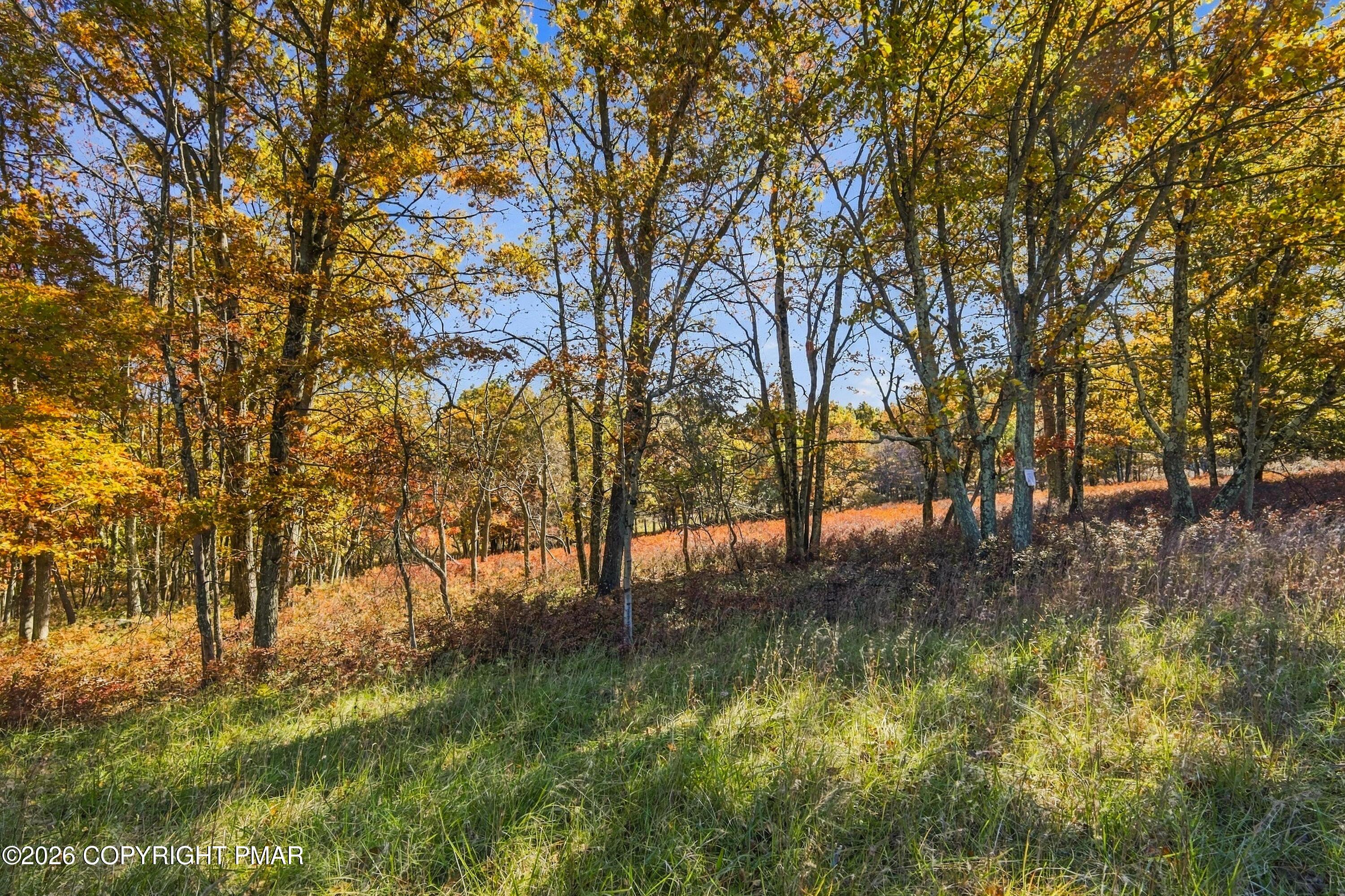 Lot 185 Patten Circle