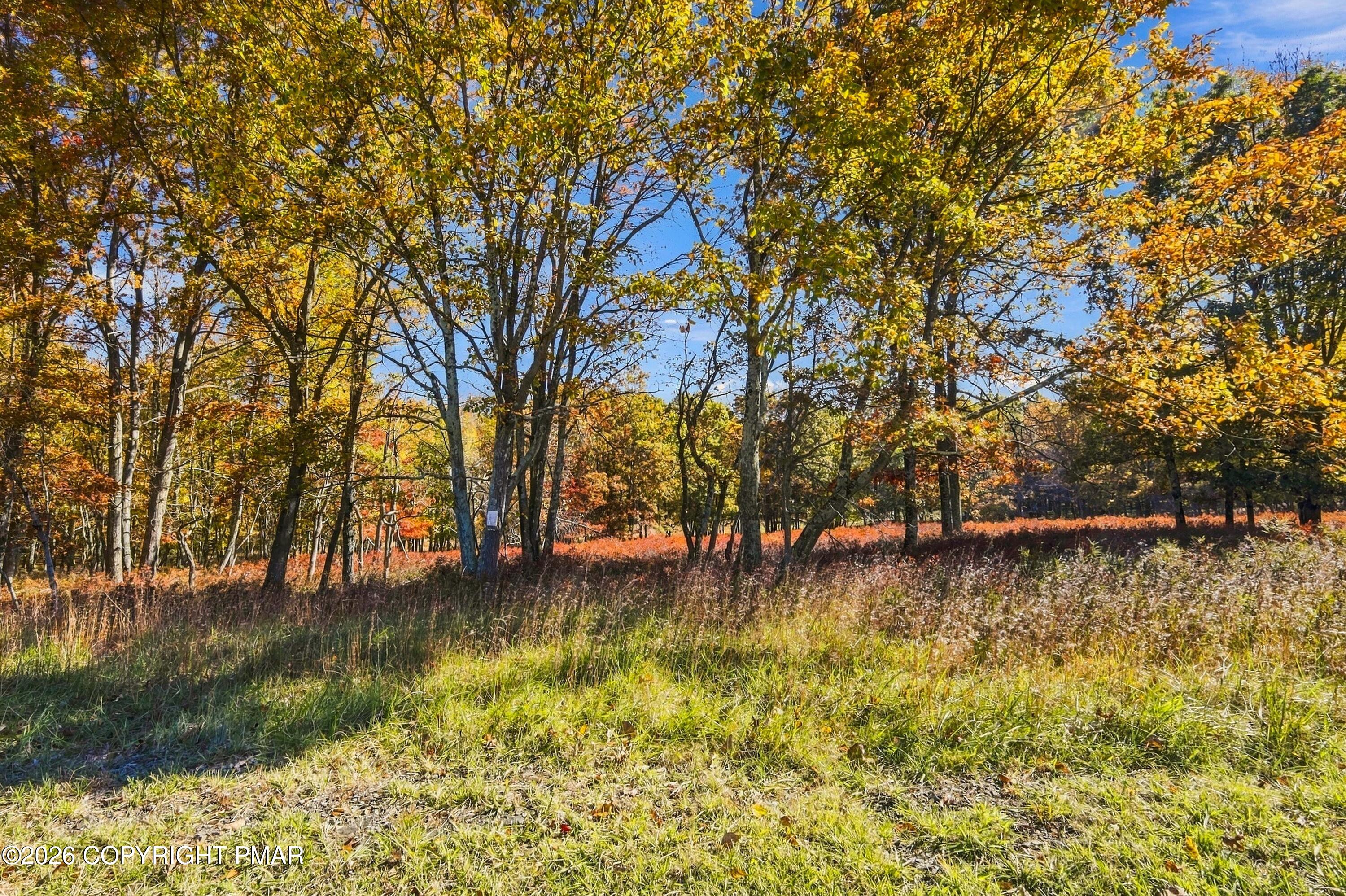 Lot 185 Patten Circle