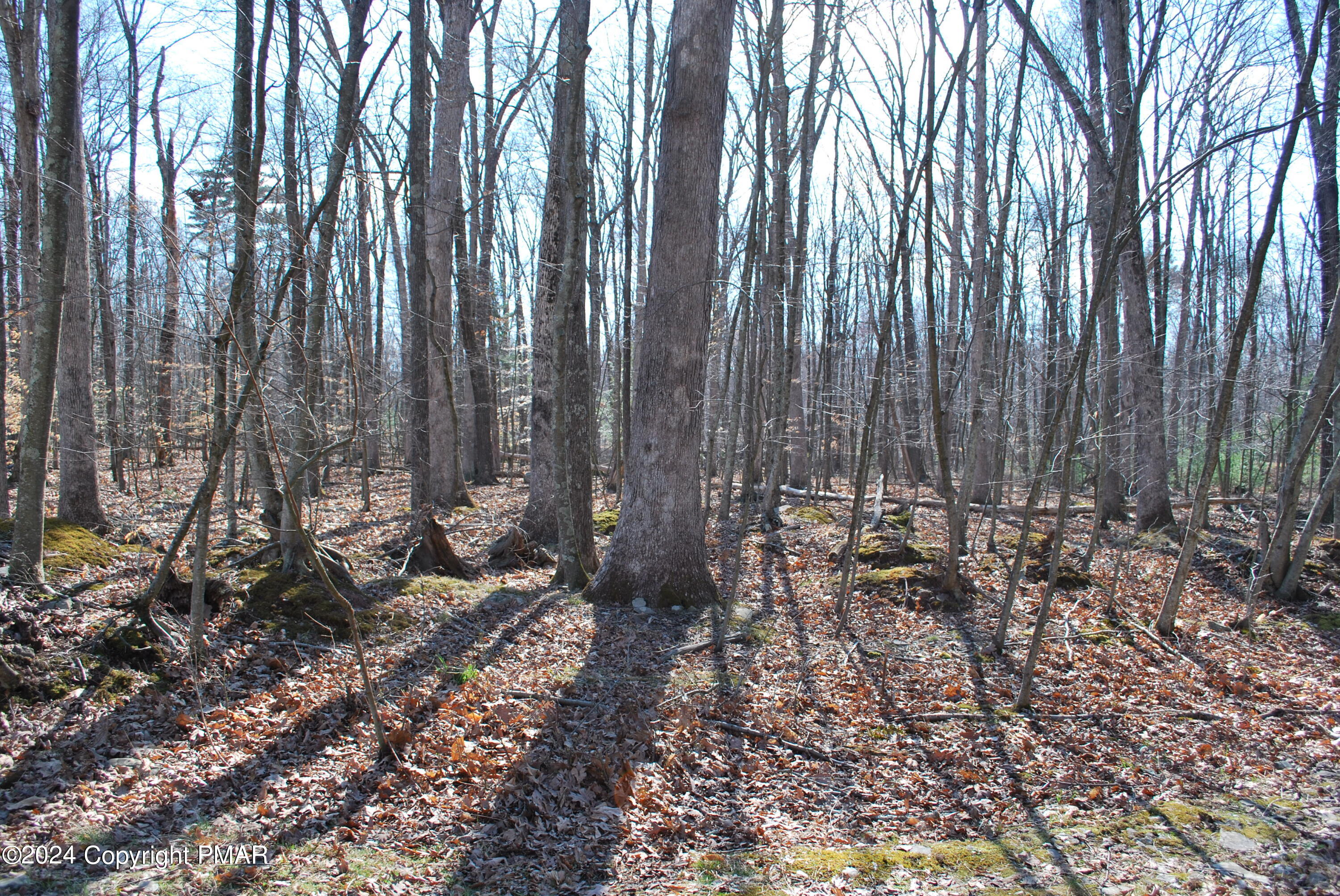 D6 E White Oak Drive, Tannersville, Pennsylvania image 2