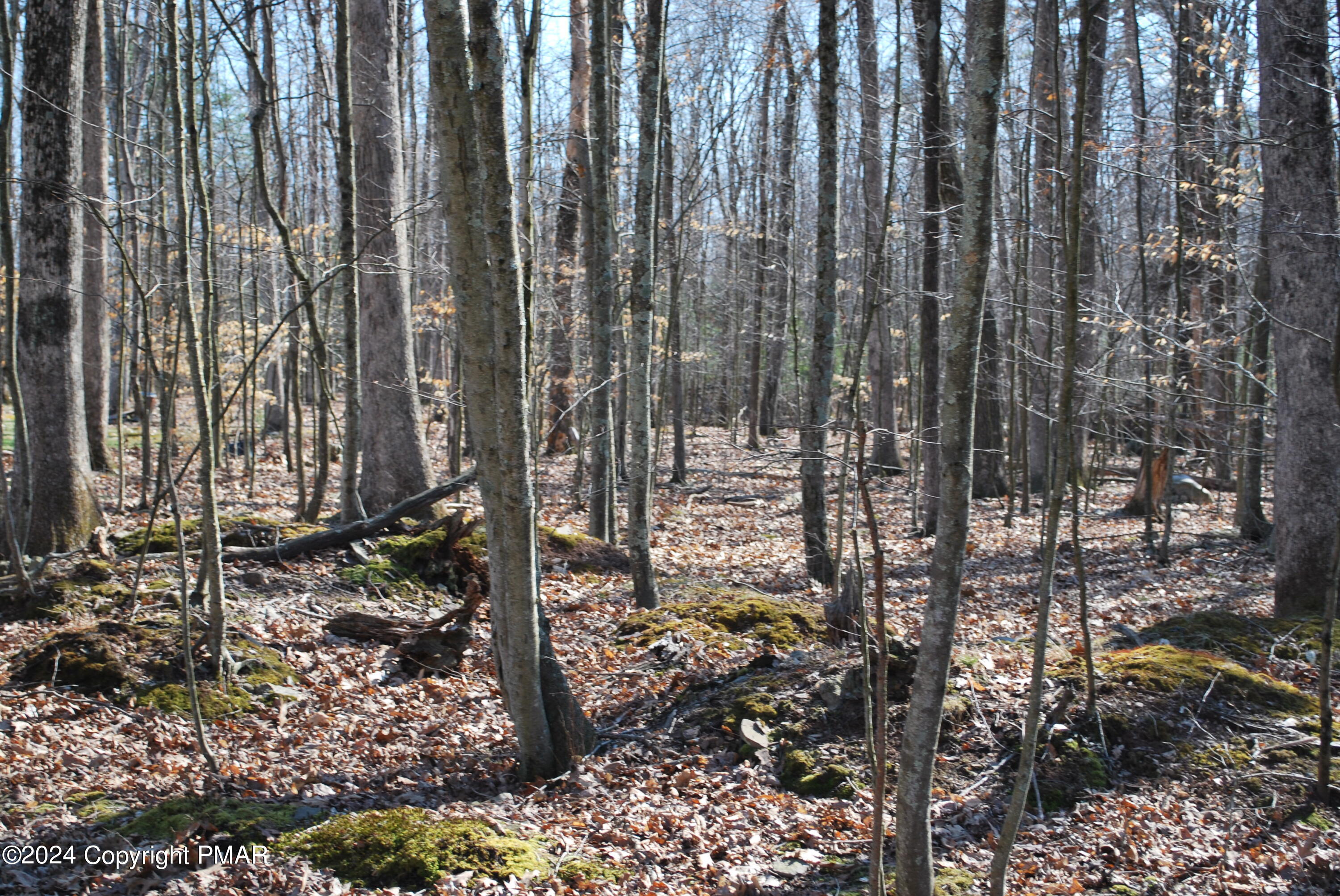 D6 E White Oak Drive, Tannersville, Pennsylvania image 1