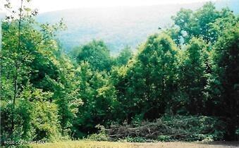 Vacant Land For Sale - Pantherlick Road<br/> Sugar Run, PA 18846