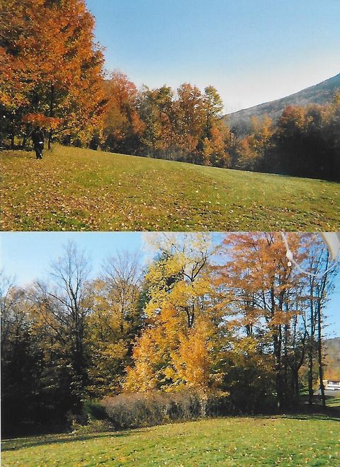 Vacant Land For Sale - Pantherlick Road<br/> Bradford County, Sugar Run, PA 18846