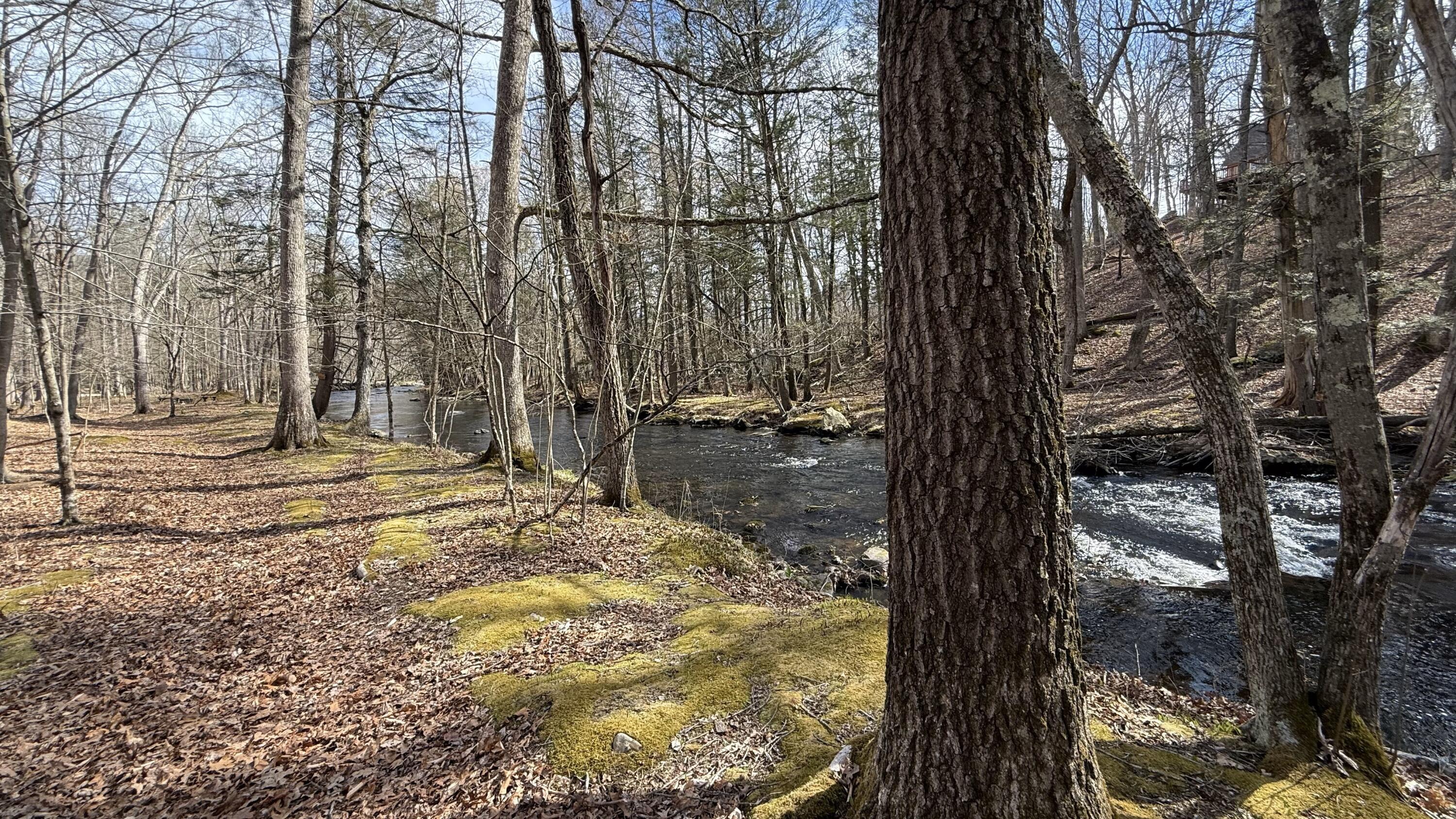 263 Canterbury Road, Bushkill, Pennsylvania image 31