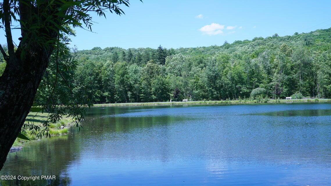 263 Canterbury Road, Bushkill, Pennsylvania image 39