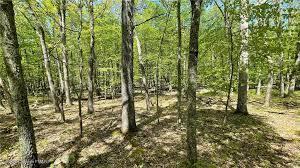 Lot 226 Bluebird Drive, Bushkill, Pennsylvania image 5