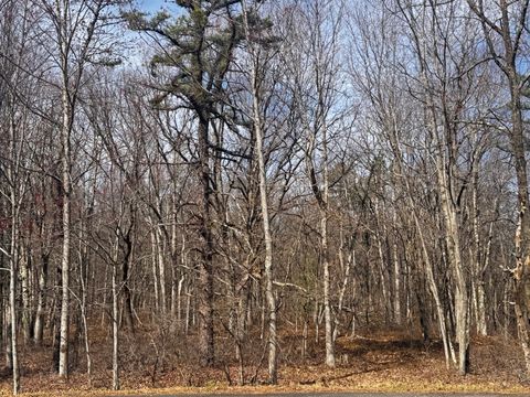 Bear Lane Jim Thorpe PA 18229