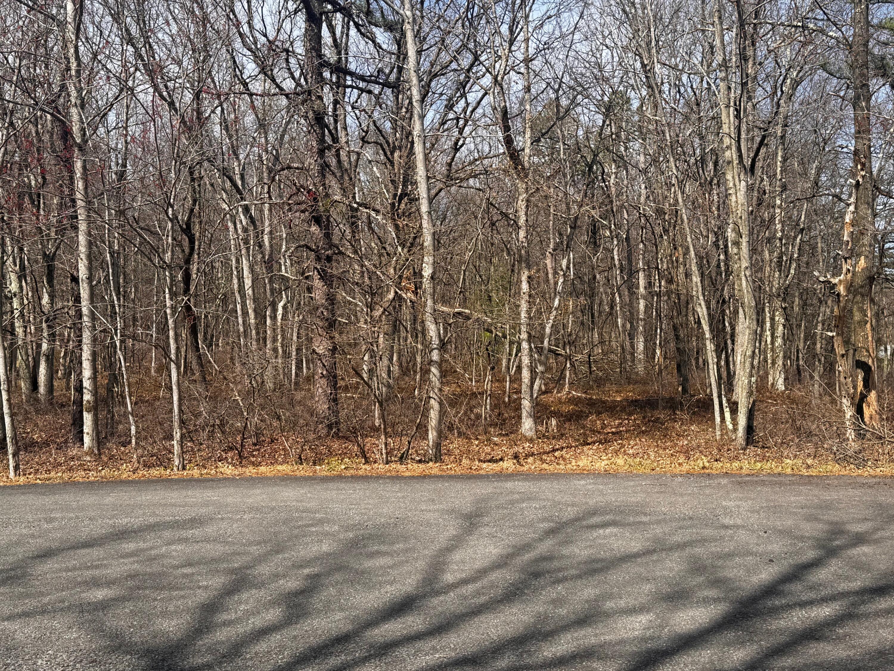 Bear Lane, Jim Thorpe, Pennsylvania image 3