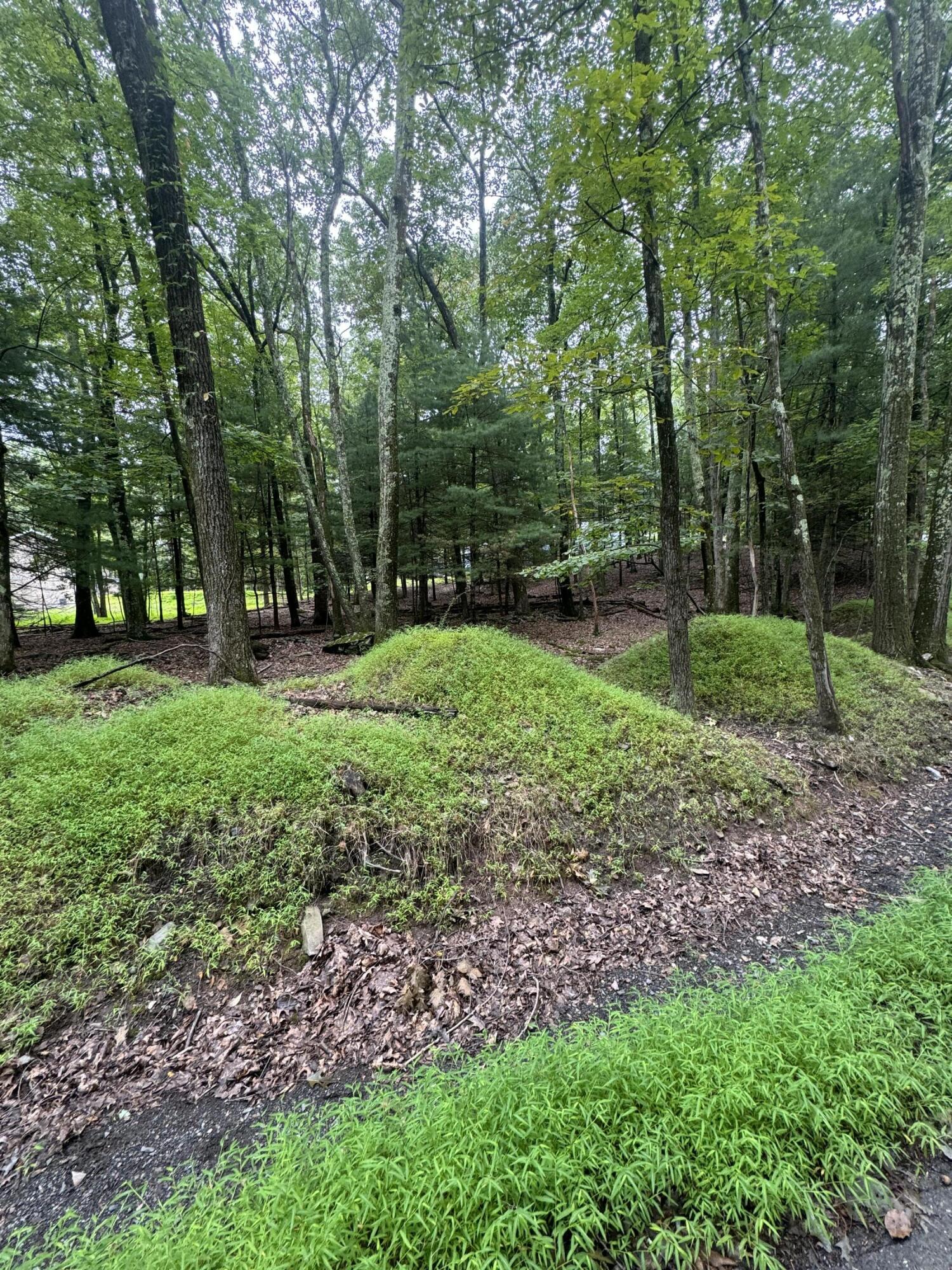 306 Lake Drive, Henryville, Pennsylvania image 4