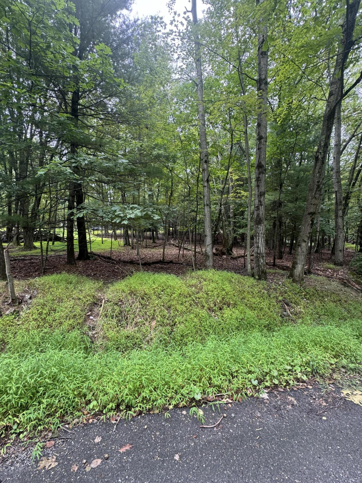 306 Lake Drive, Henryville, Pennsylvania image 3