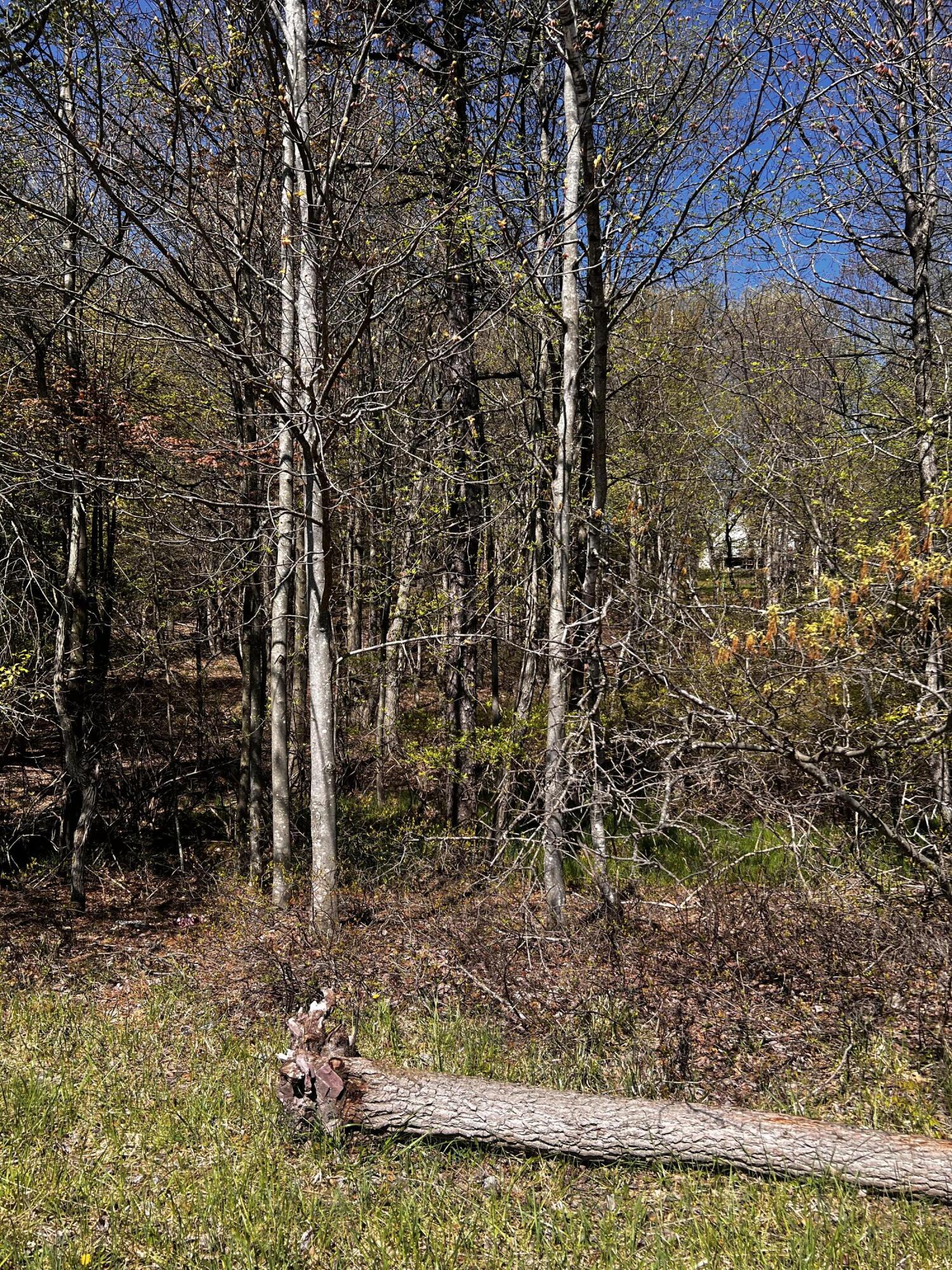 lot 5882 Tumbleweed Drive