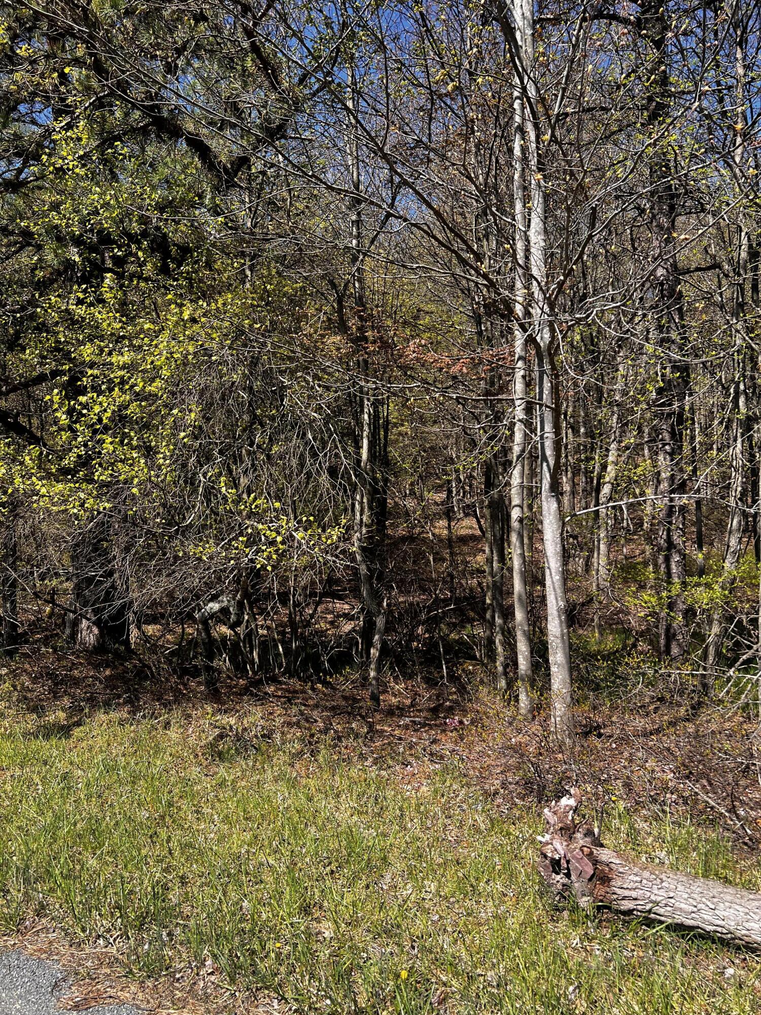 lot 5882 Tumbleweed Drive