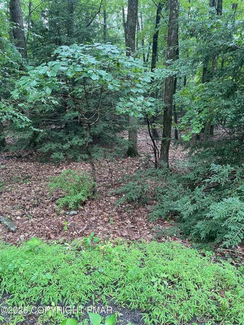 Vacant Land For Sale - 70 Woodland Road<br/> Albrightsville, PA 18210