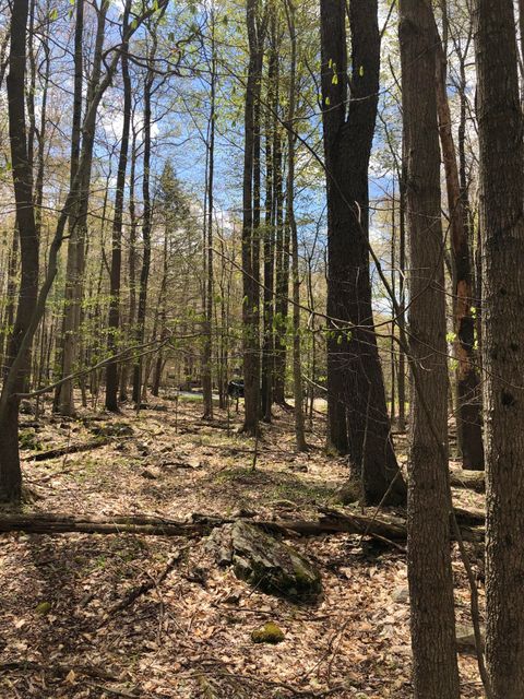 Fala Court lot 19 Pocono Lake PA 18347