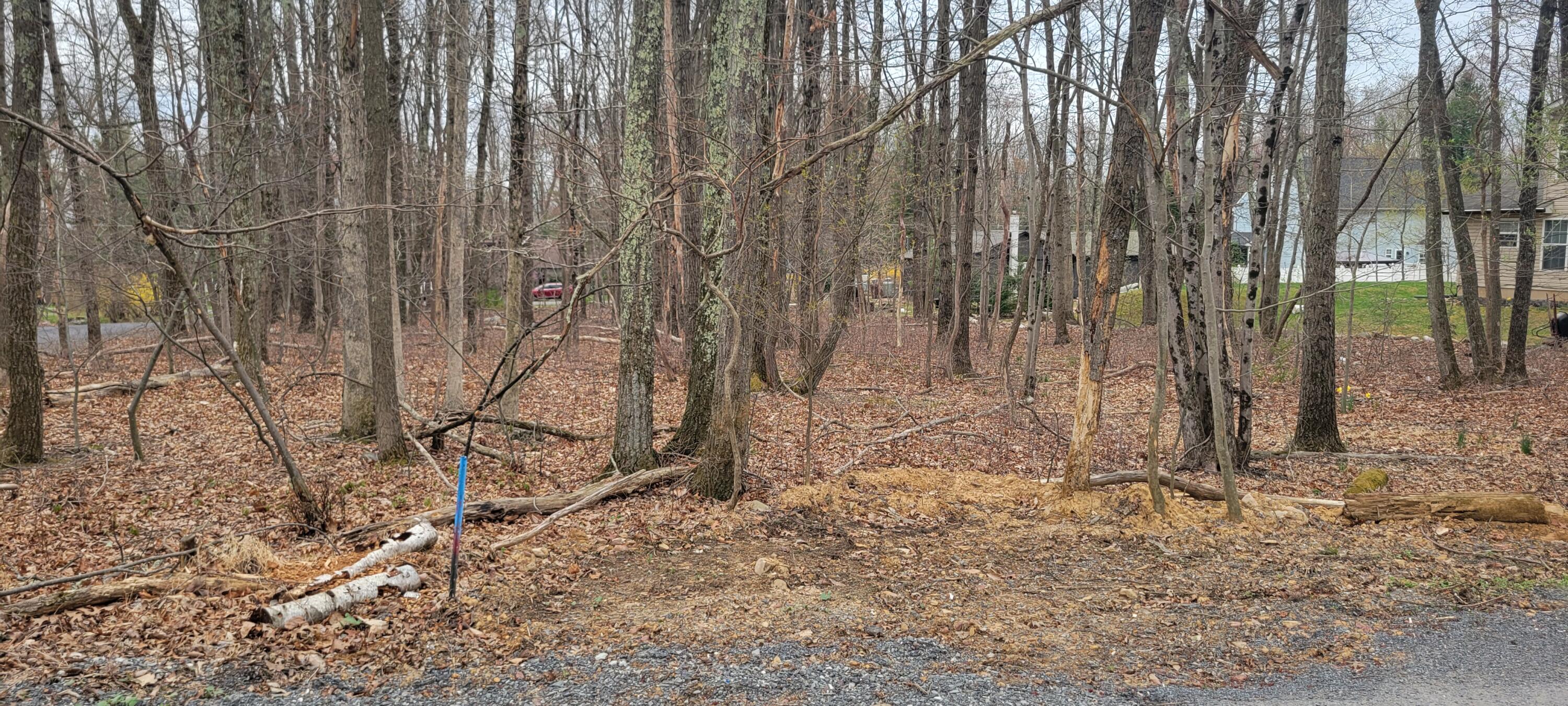 Acorn Ln 20b, Kunkletown, Pennsylvania image 5