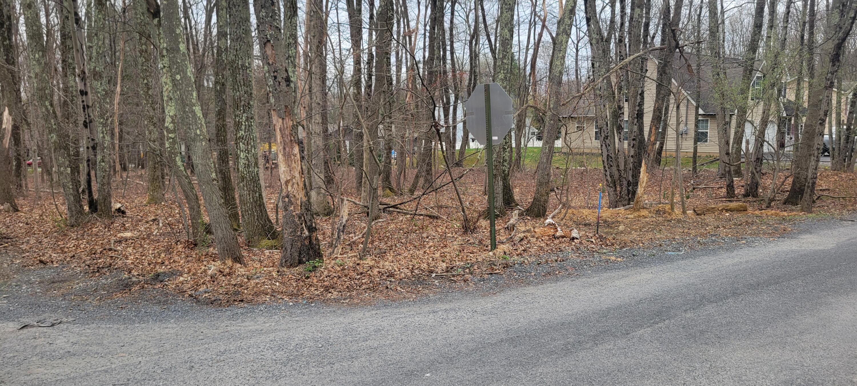 Acorn Ln 20b, Kunkletown, Pennsylvania image 2