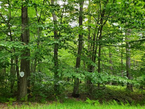 Vacant Land For Sale - 32 Tall Oak Drive<br/> Monroe County, Pocono Lake, PA 18347