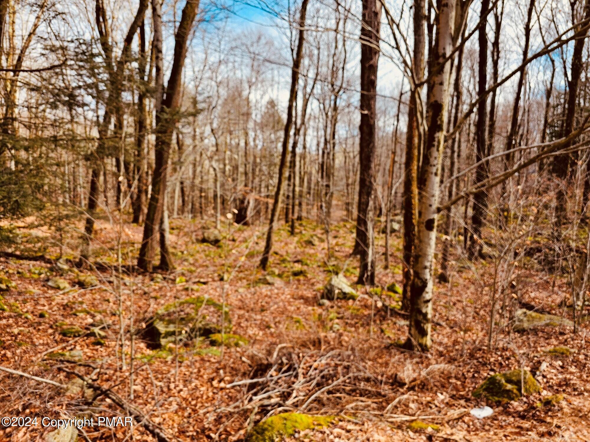 Lot 23 R Lakewood Court, Canadensis, Pennsylvania image 6