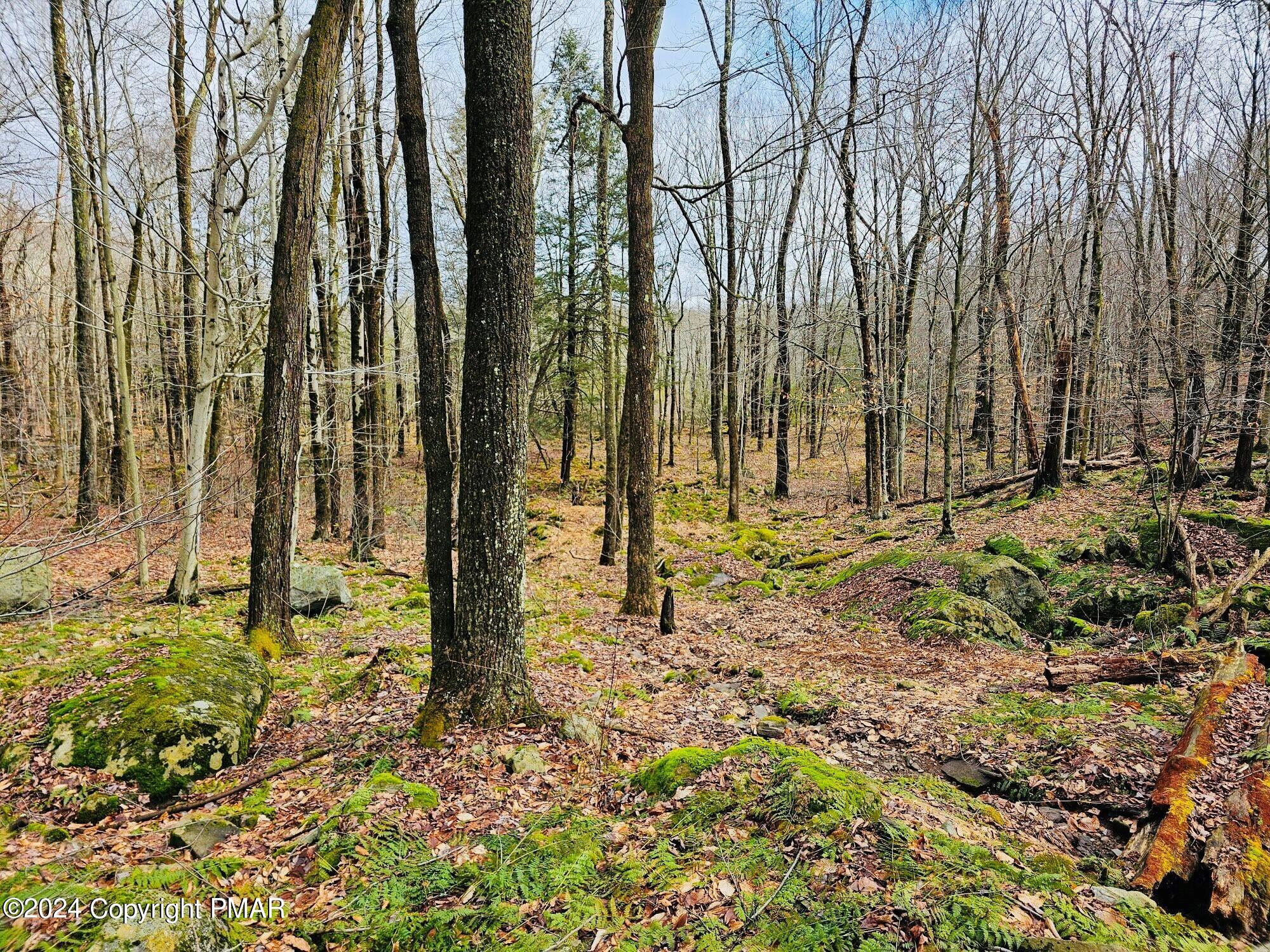 Lot 23 R Lakewood Court, Canadensis, Pennsylvania image 8