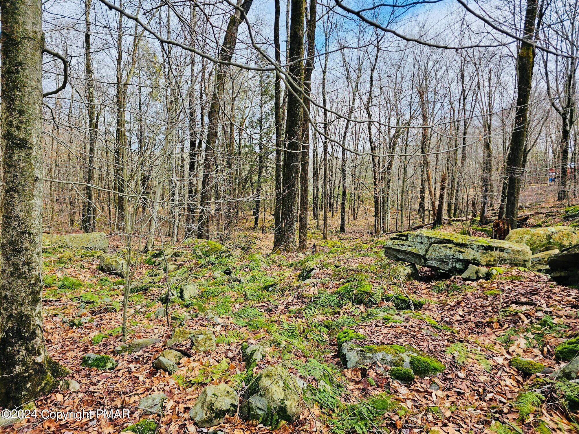 Lot 23 R Lakewood Court, Canadensis, Pennsylvania image 9