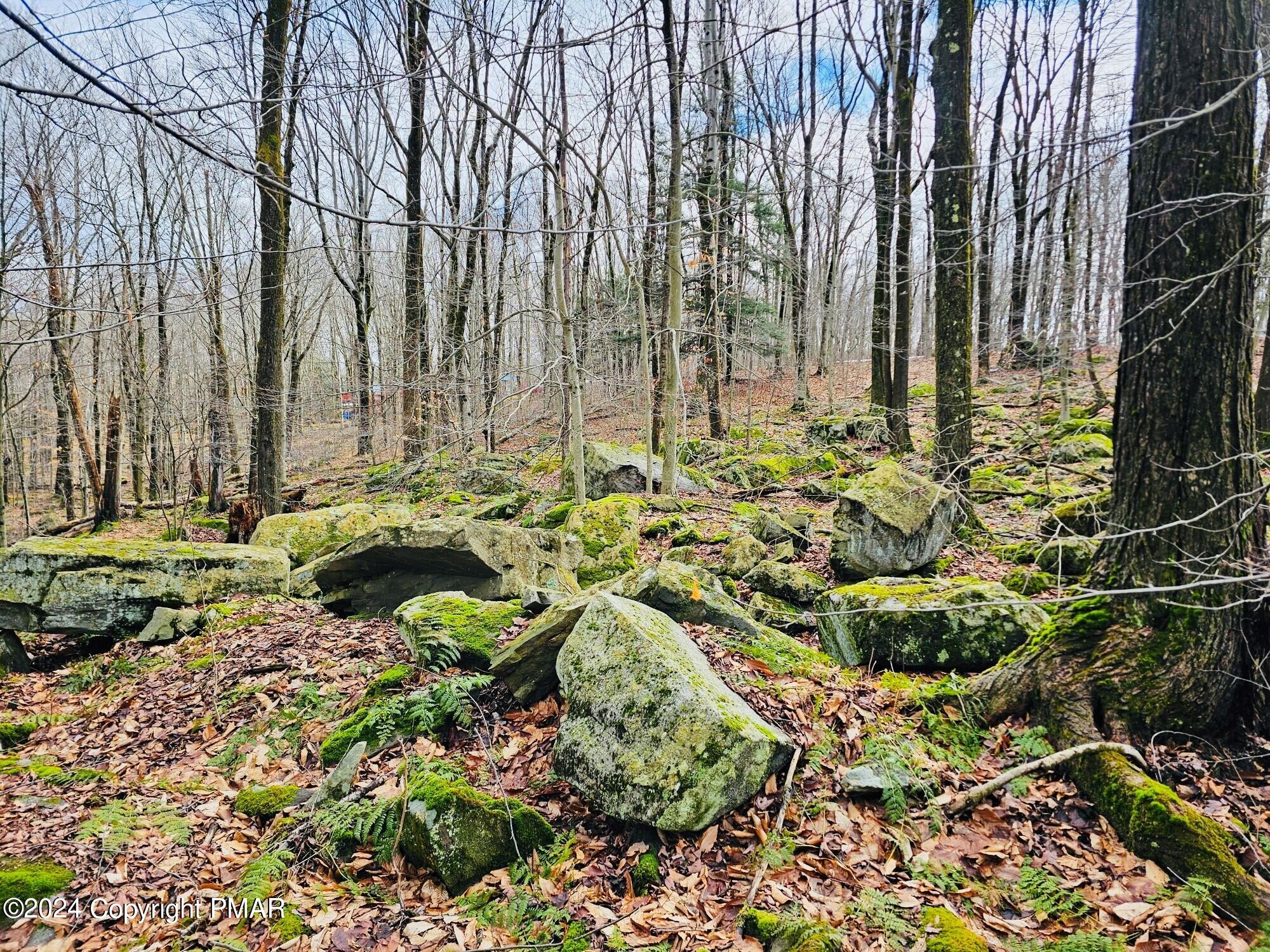Lot 23 R Lakewood Court, Canadensis, Pennsylvania image 14