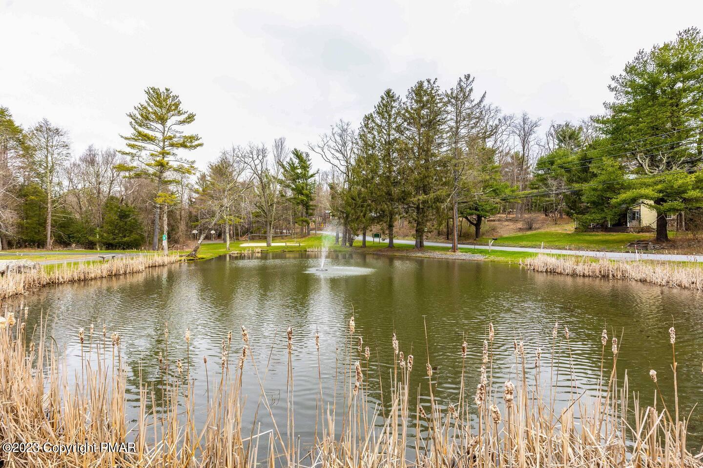 125 Woodlane Road, Canadensis, Pennsylvania image 39