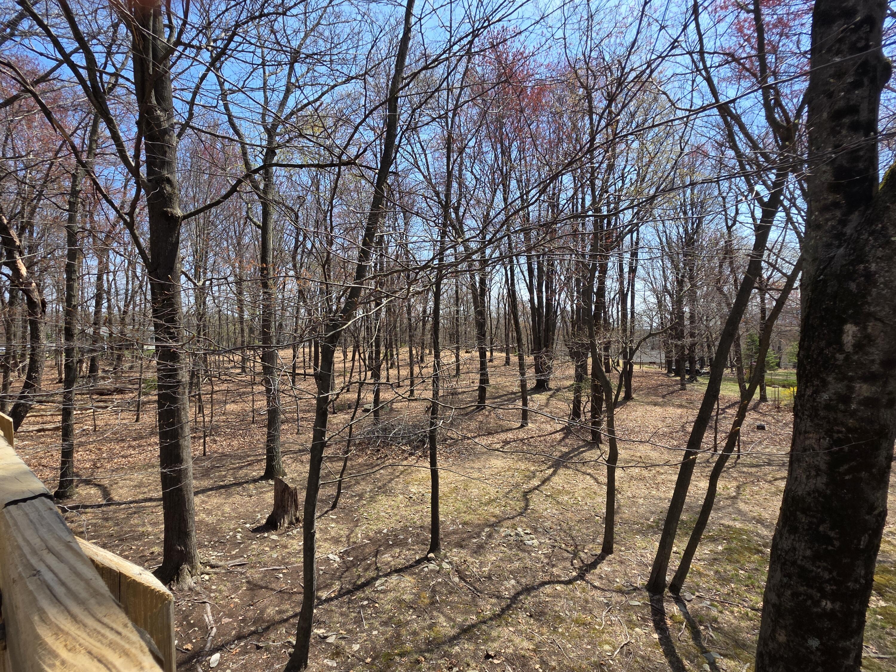166 Applewood Drive, Swiftwater, Pennsylvania image 19