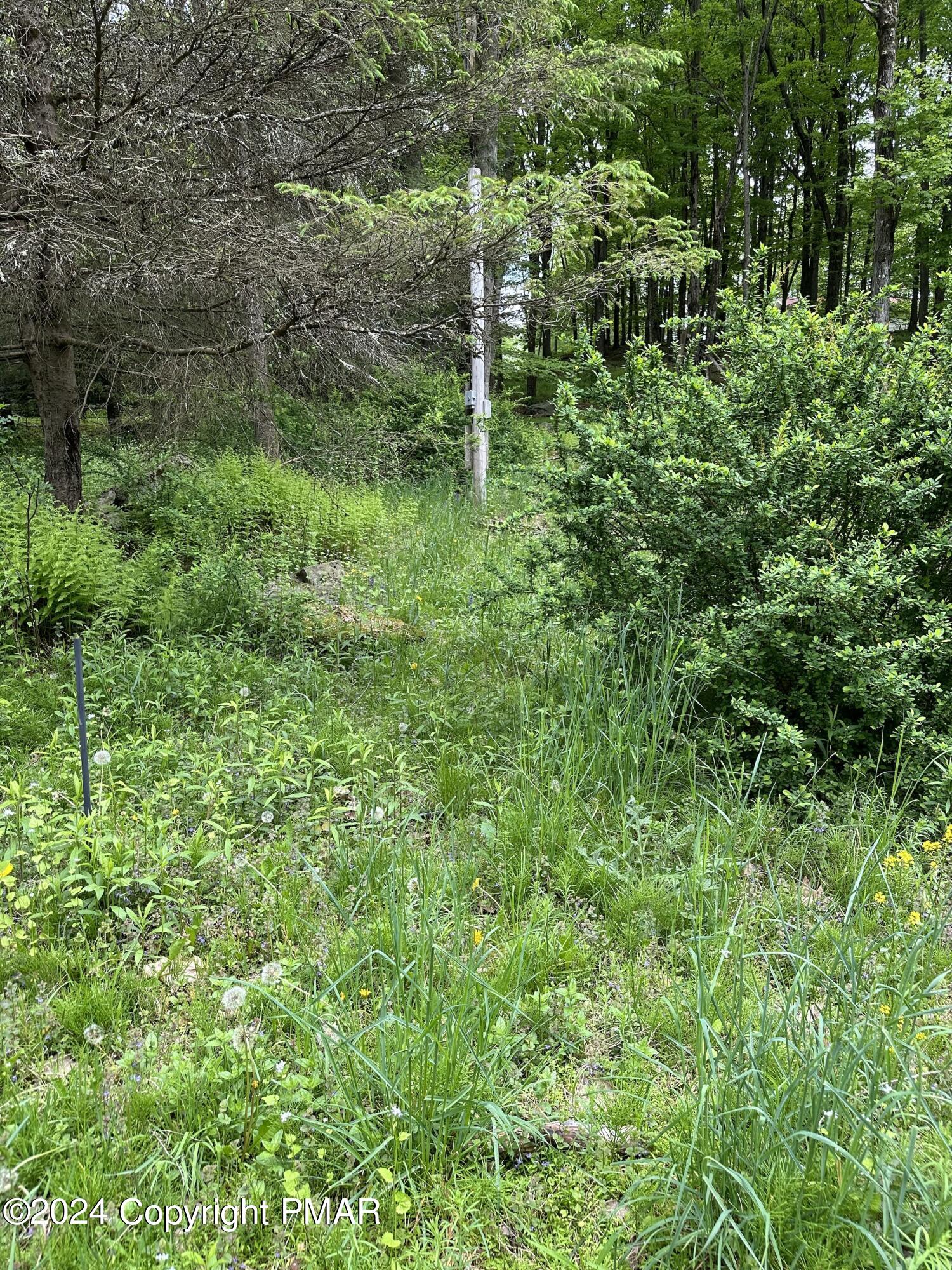 115 Lakewood Drive Dr, Canadensis, Pennsylvania image 4