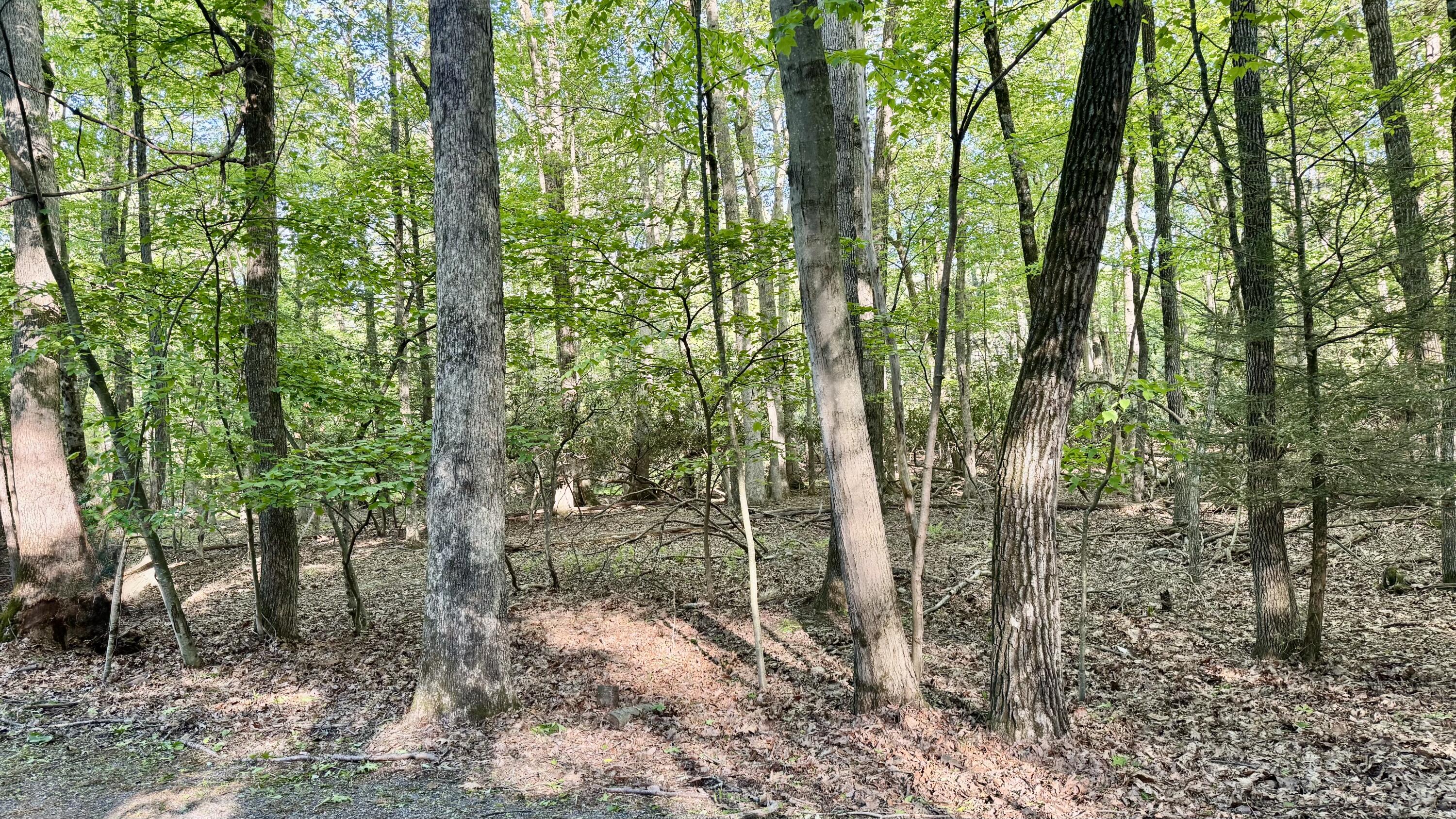 19 Princess Lane, Stroudsburg, Pennsylvania image 2