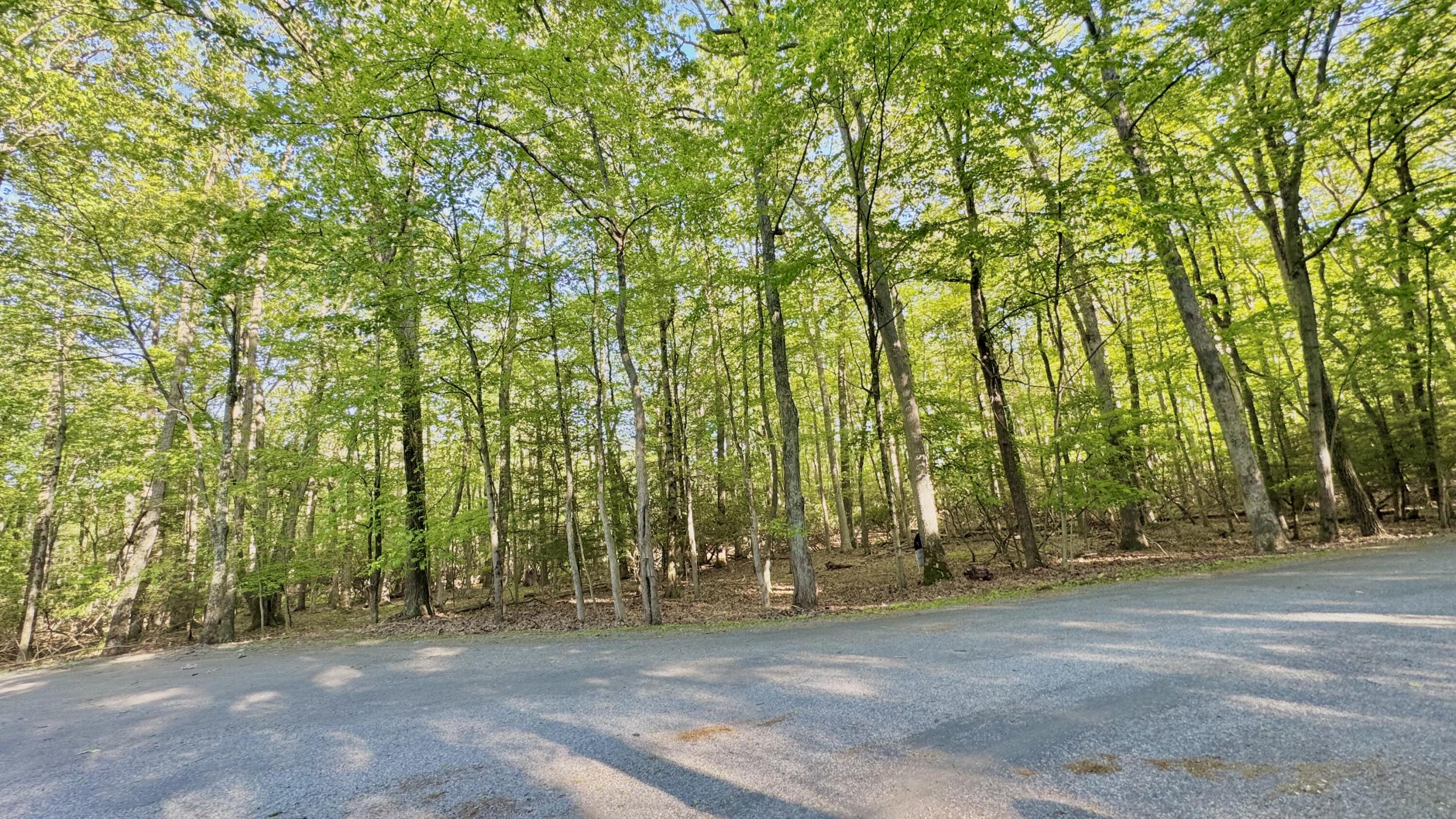 19 Princess Lane, Stroudsburg, Pennsylvania image 6
