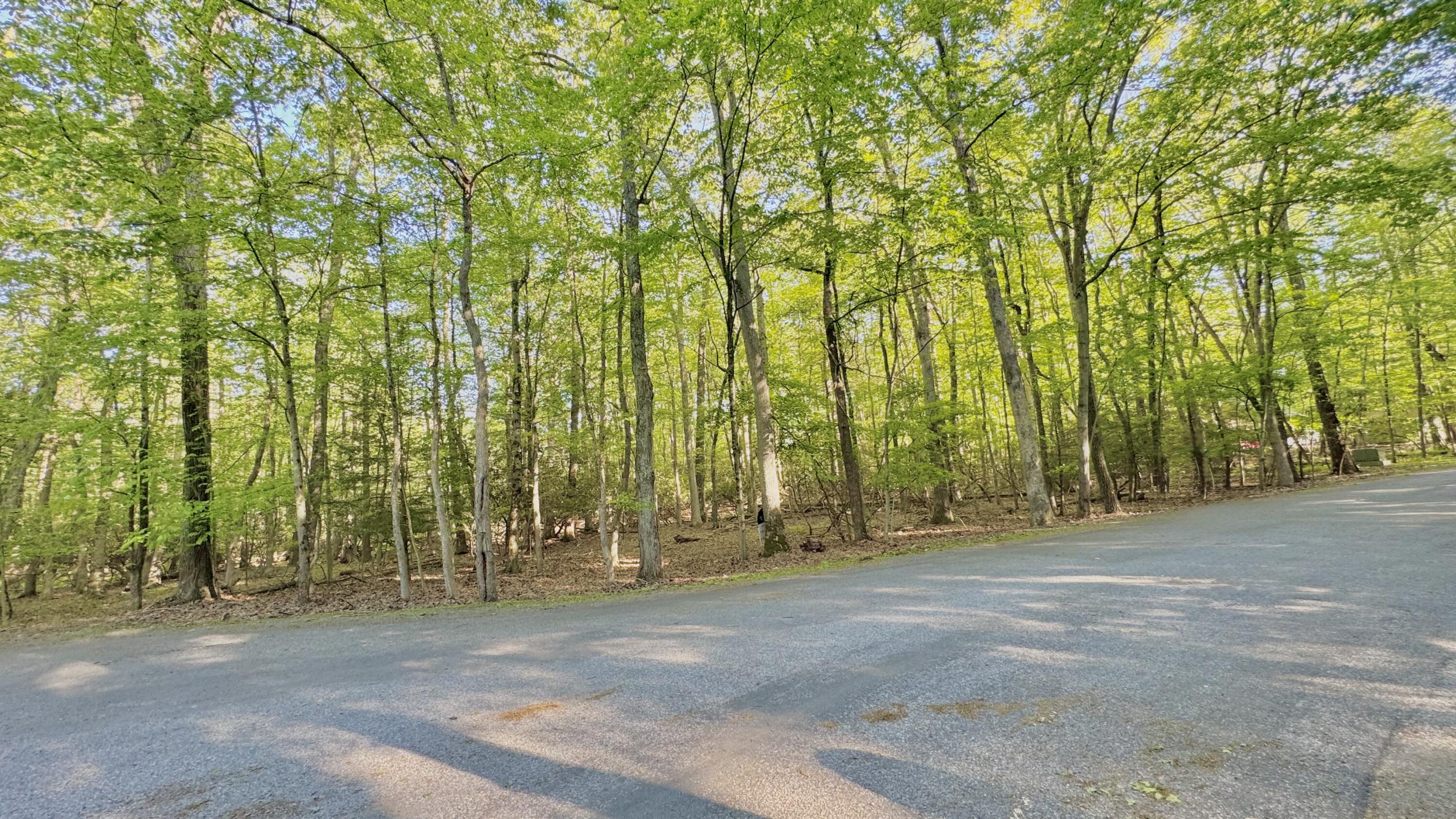 19 Princess Lane, Stroudsburg, Pennsylvania image 5