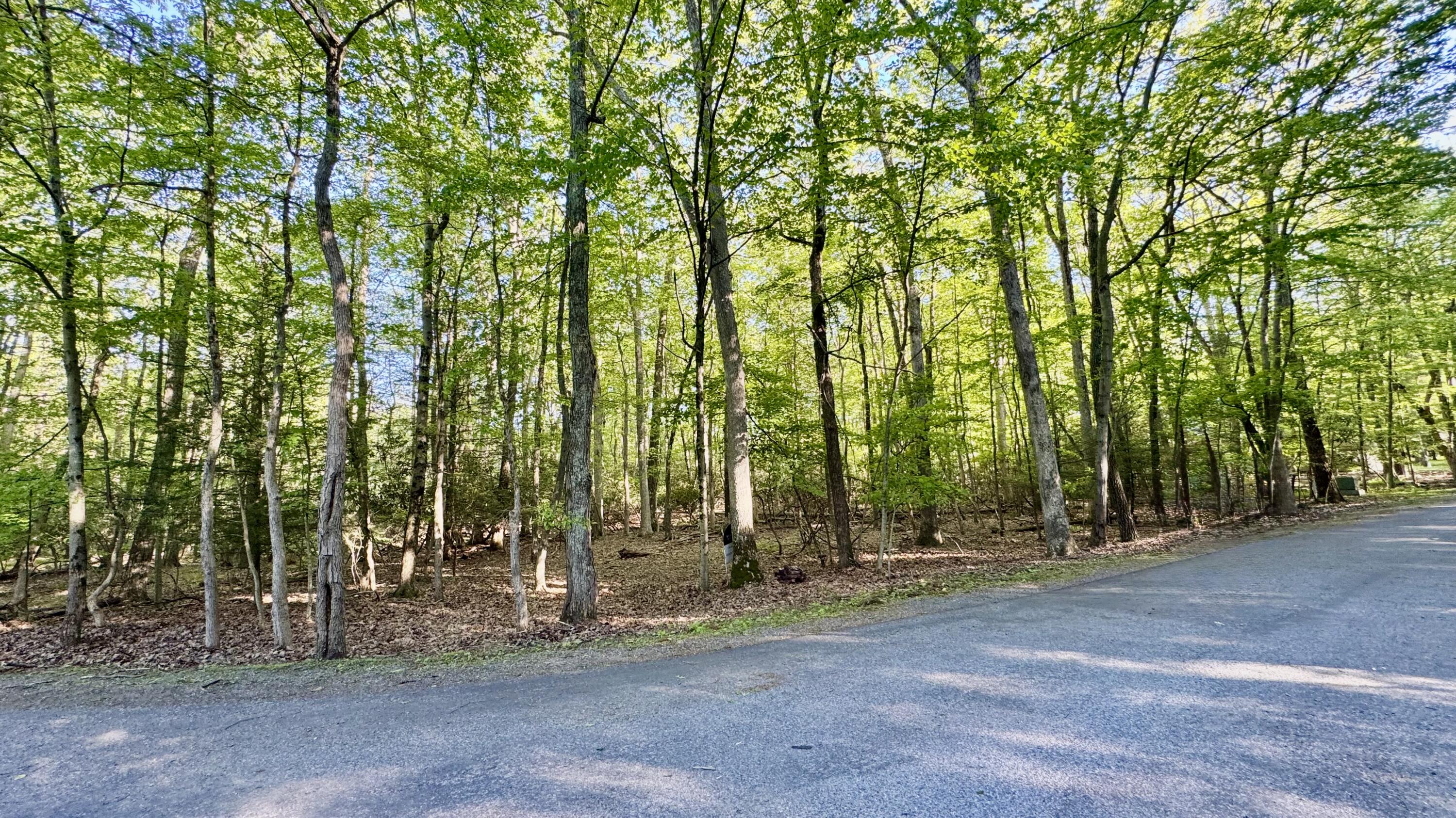 19 Princess Lane, Stroudsburg, Pennsylvania image 3
