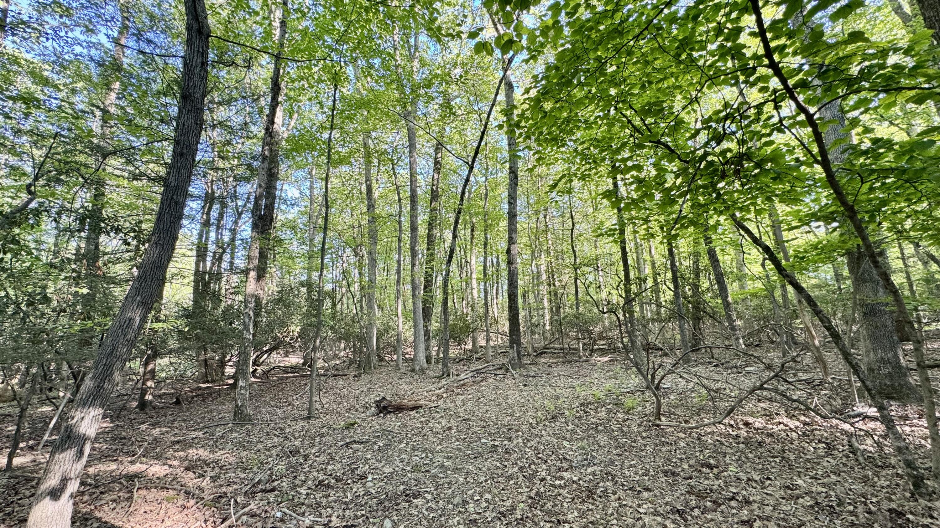 19 Princess Lane, Stroudsburg, Pennsylvania image 4