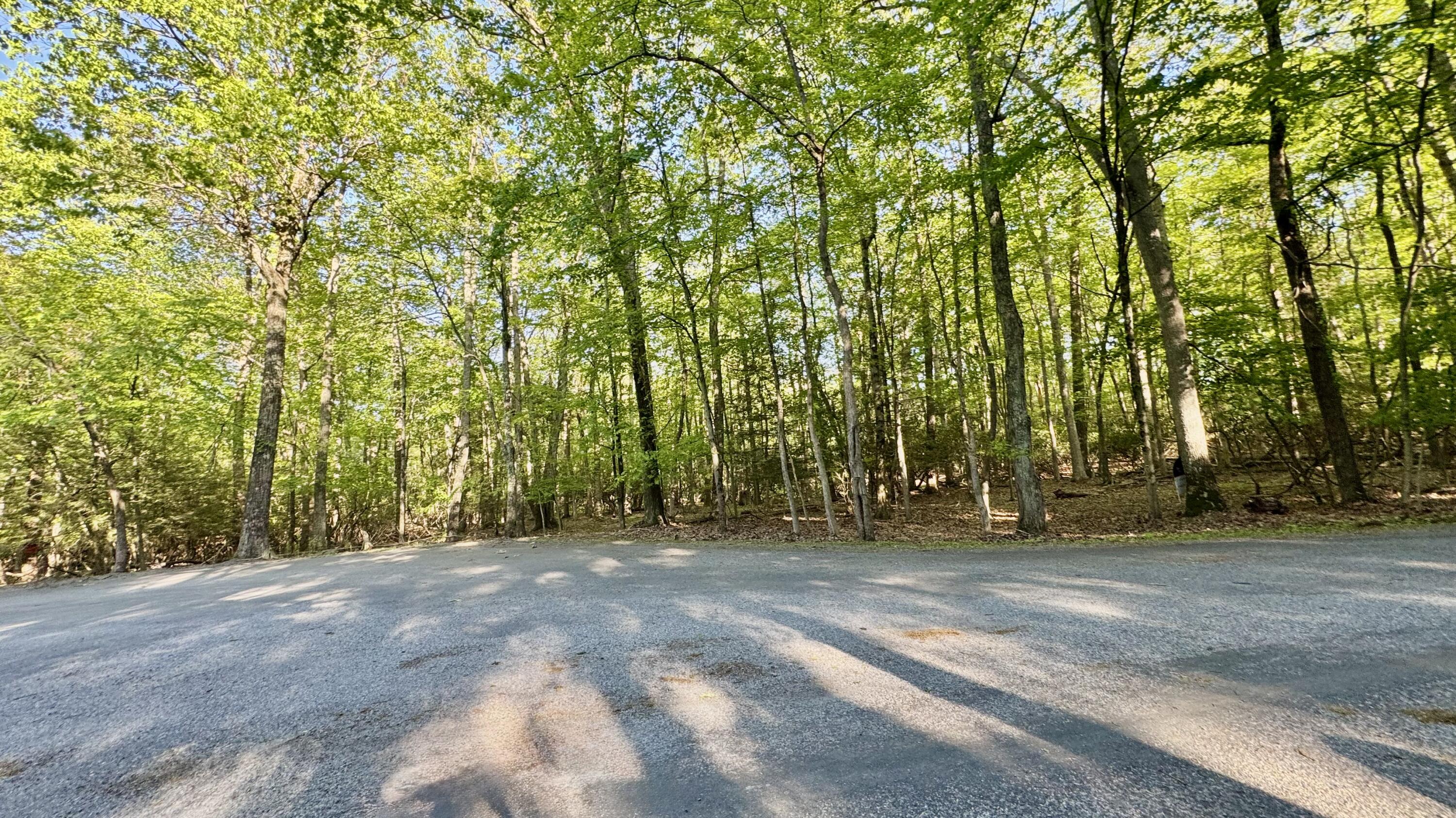 19 Princess Lane, Stroudsburg, Pennsylvania image 7