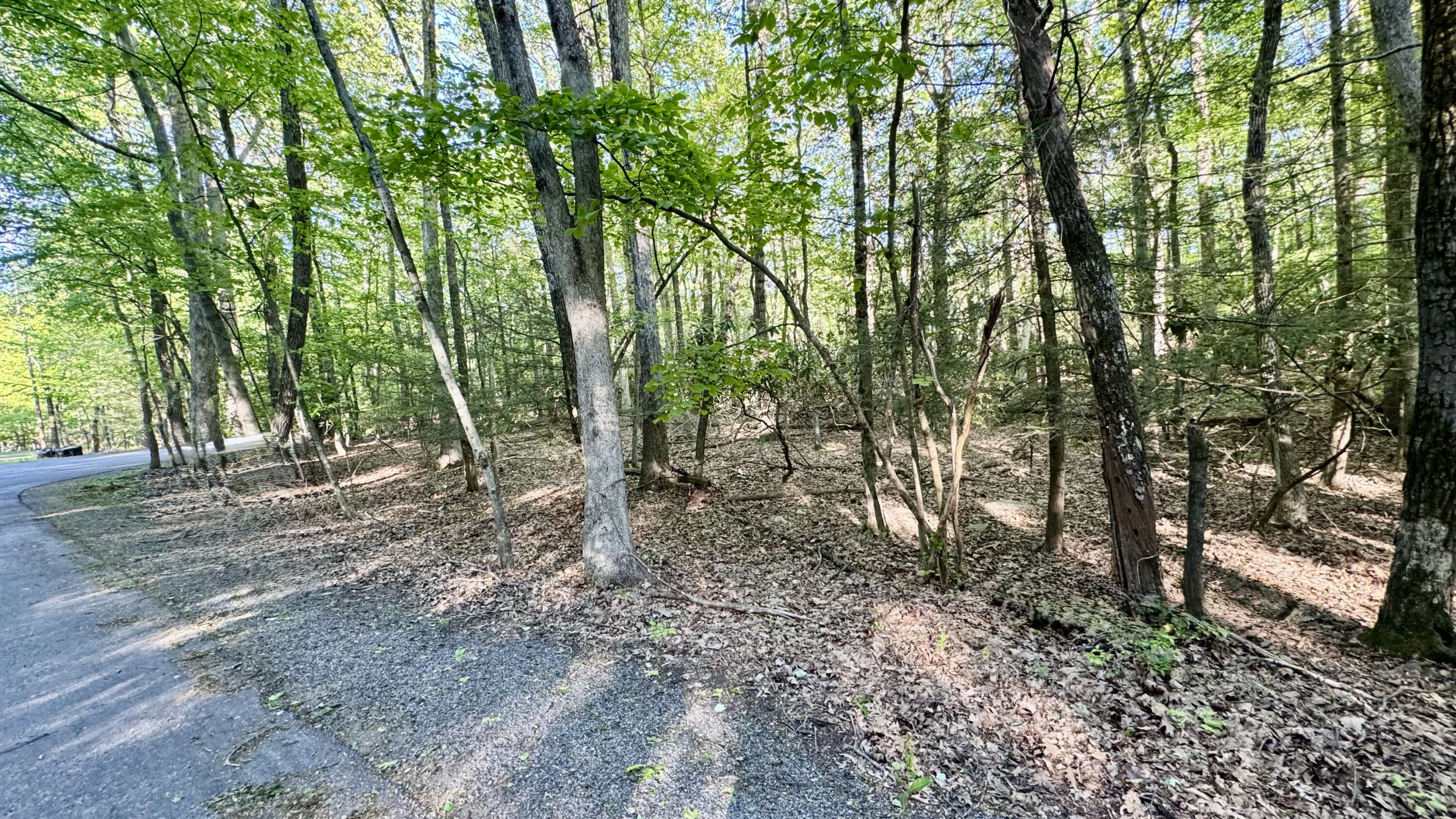 19 Princess Lane, Stroudsburg, Pennsylvania image 8