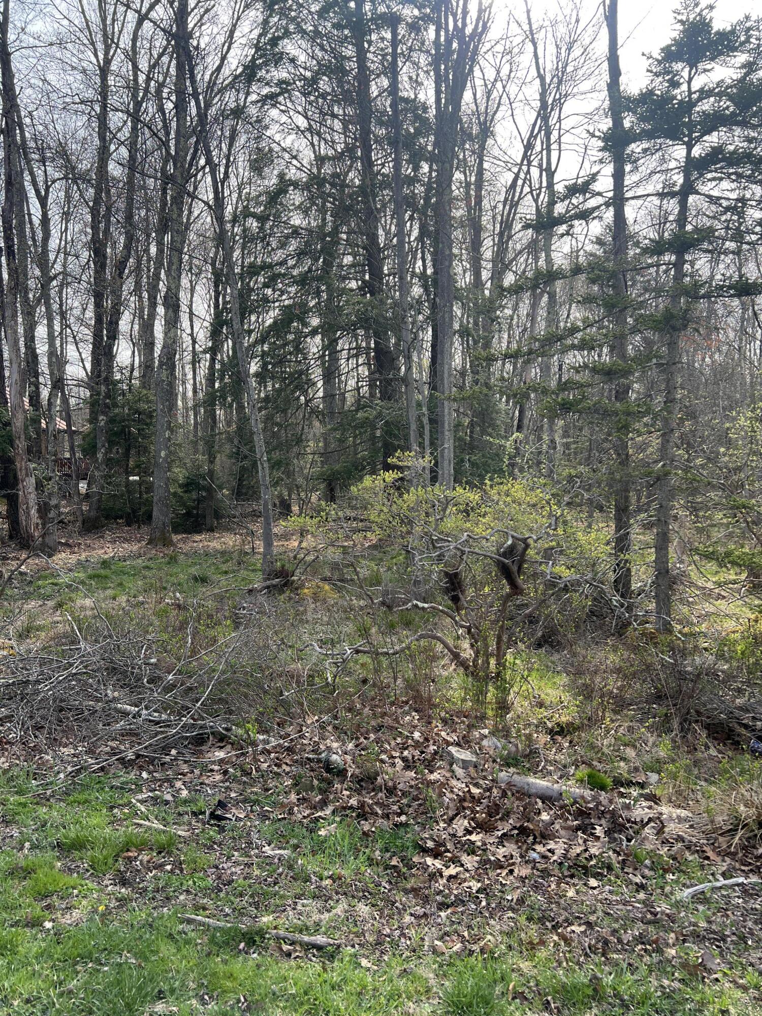 Lot 309-31 Wagner Way Way, Pocono Lake, Pennsylvania image 5