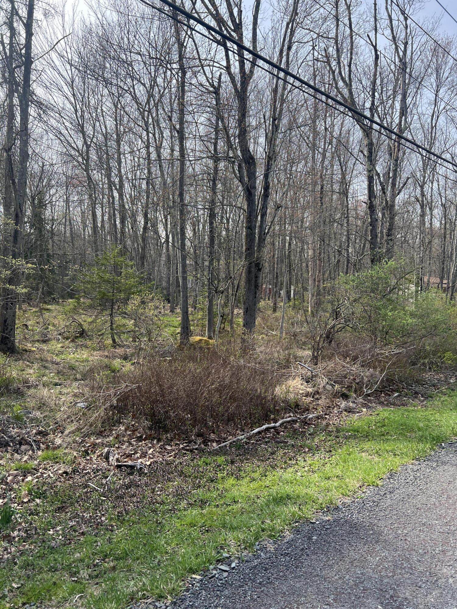 Lot 309-31 Wagner Way Way, Pocono Lake, Pennsylvania image 6