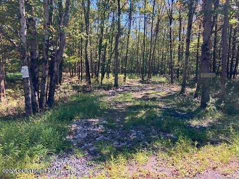 Vacant Land For Sale - 2546 Pawnee Trail<br/> Carbon County, Albrightsville, PA 18210
