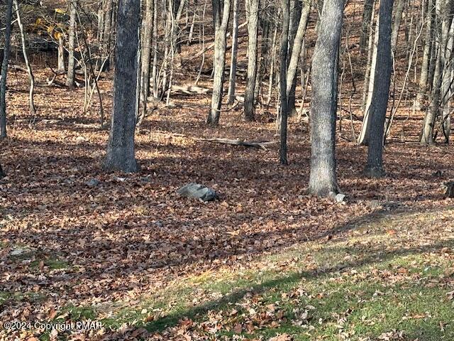 115 White Oak Court, Tannersville, Pennsylvania image 43
