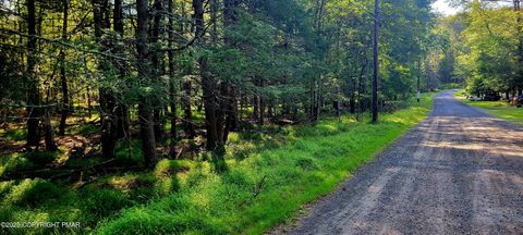 33 Netcong Circle Pocono Lake PA 18347