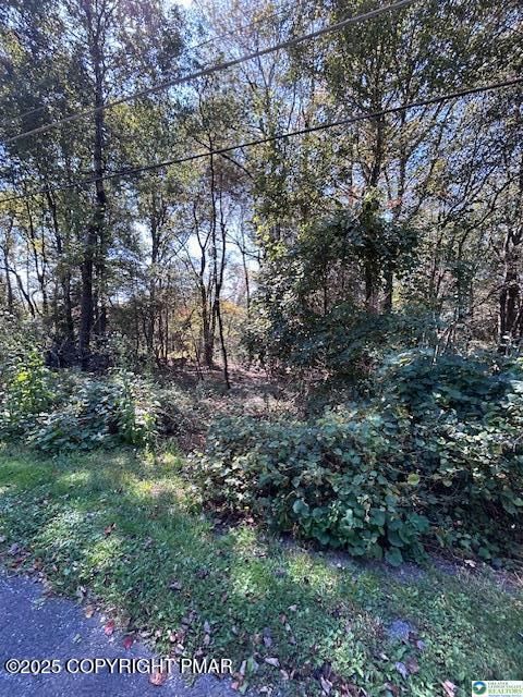 Vacant Land For Sale - LOT I731 Yellow Run Road<br/> Jim Thorpe, PA 18229