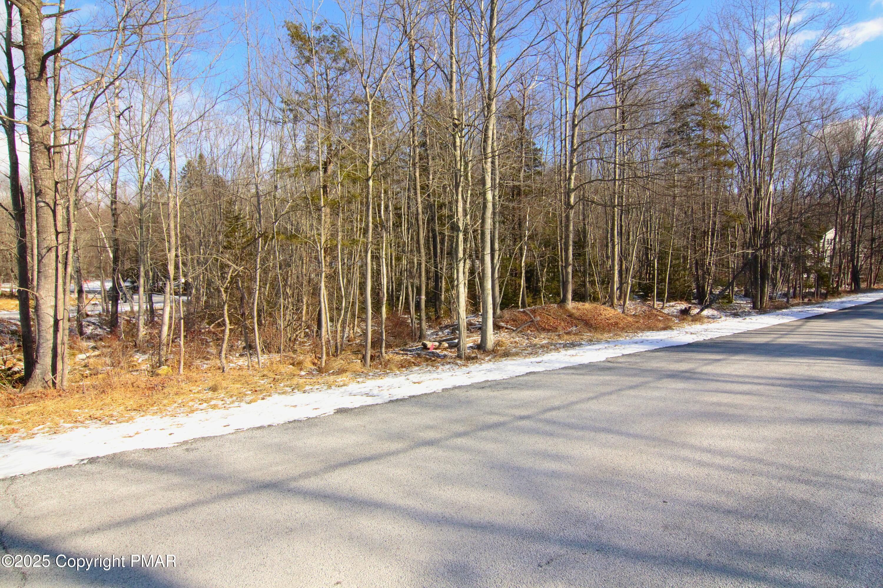 N Arrow Drive, Mount Pocono, Pennsylvania image 1