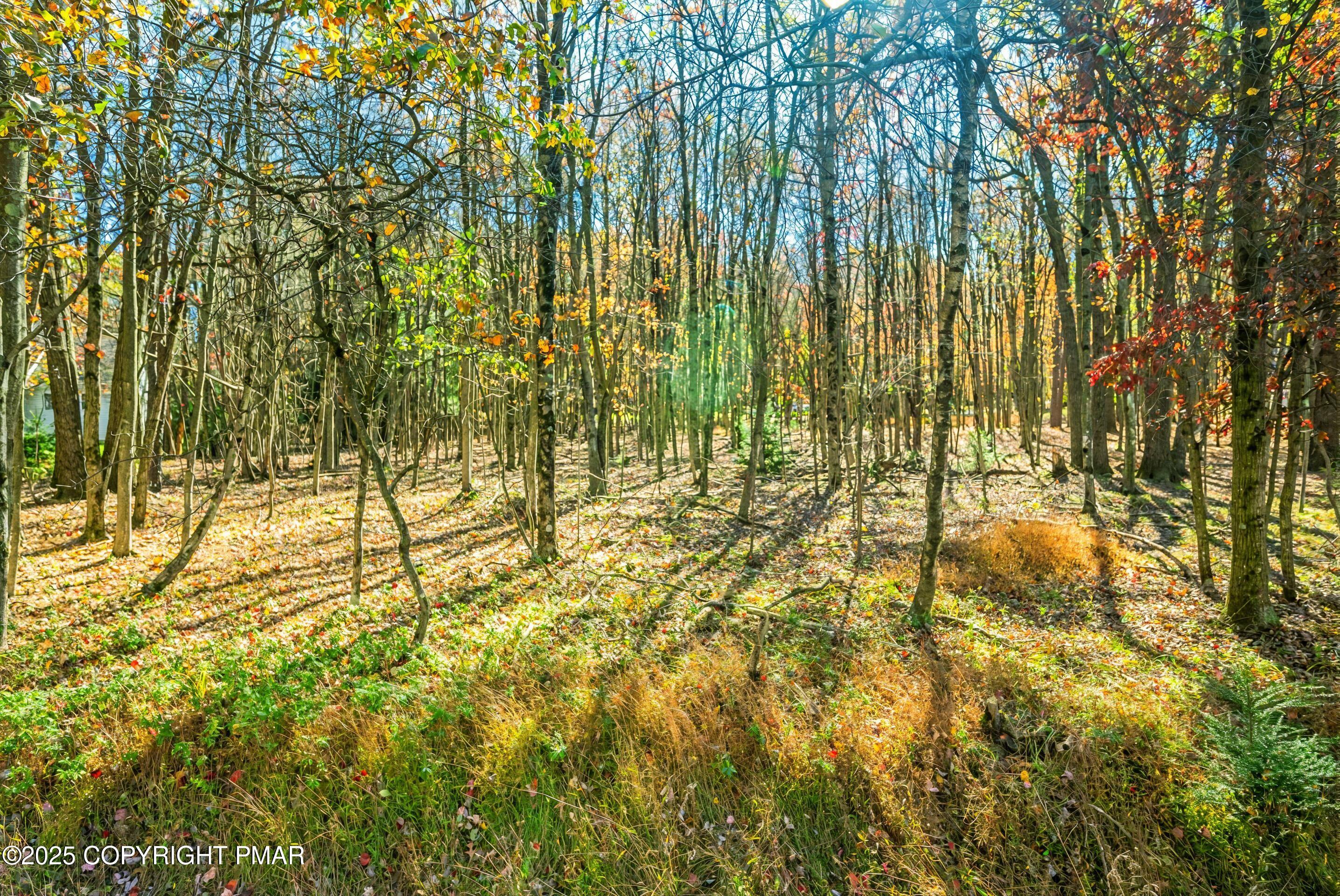 EV407 Towamensing Trail