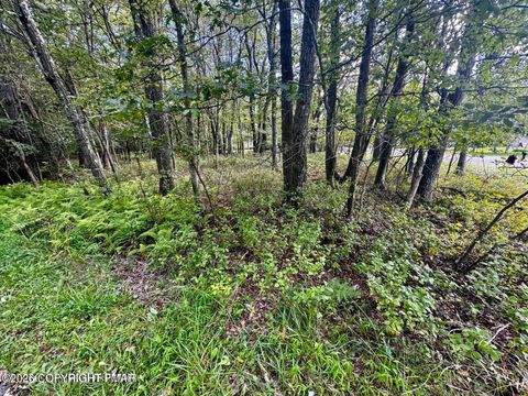 Lot # 14HT Bear Lane Jim Thorpe PA 18229