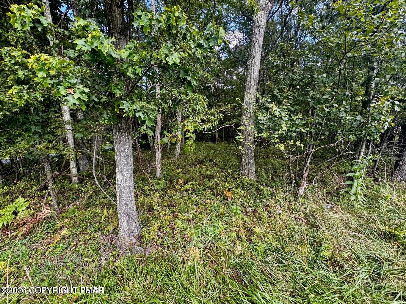 Lot # 14HT Bear Lane